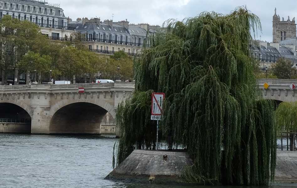 View on Seine thirty autumns later