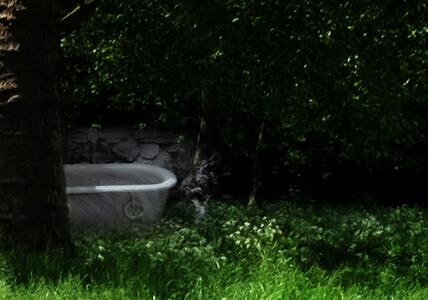 bathtub in the woods